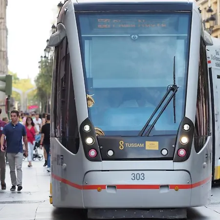 Cruz Roja A * Siviglia